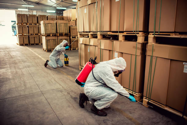 Best Rat Extermination Near Me  in Orangetree, FL