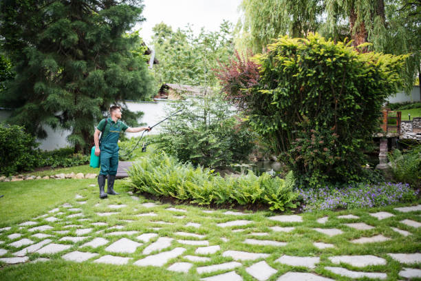 Best Mosquito Control Services  in Orangetree, FL