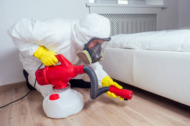 Best Pest Prevention Services  in Orangetree, FL