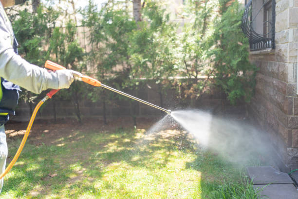 Wasp Removal Services in Orangetree, FL