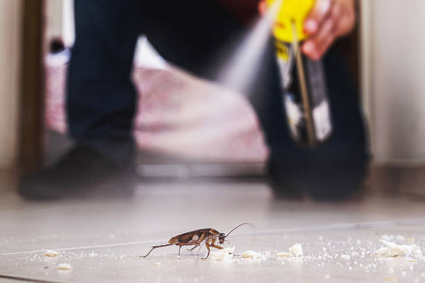 Best Commercial Pest Control Services  in Orangetree, FL