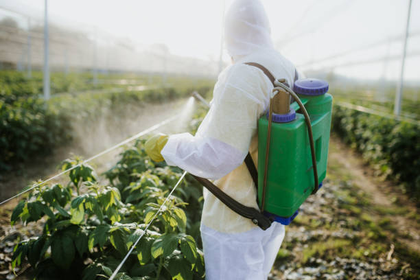 Professional Pest Control in Orangetree, FL